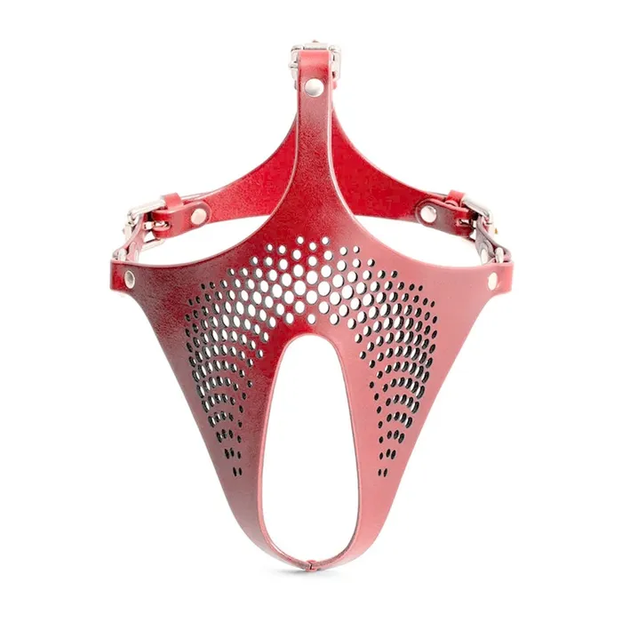 Daytona Ex Machina Genuine Leather Mask Red Restraints