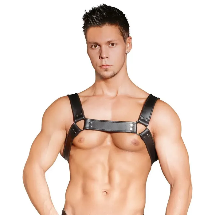 Zado Zado Premium Leather Chest Harness Female Sex Toys
