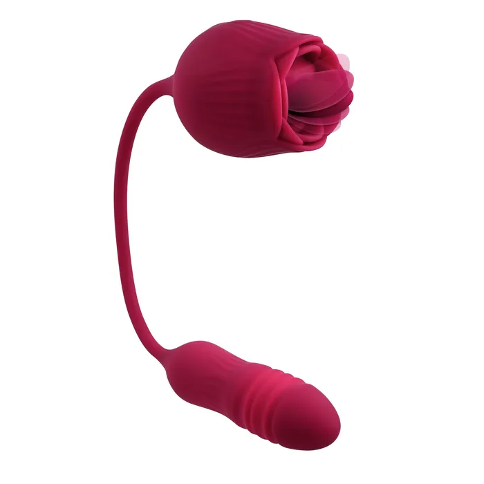 Vibrators Evolved Novelties Wild Rose Red Vibrators Evolved Novelties Wild Rose Red