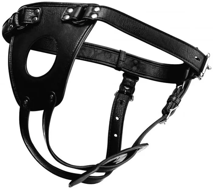 Master Series Ass Holster Anal Plug Harness Master Series Male Sex Toys