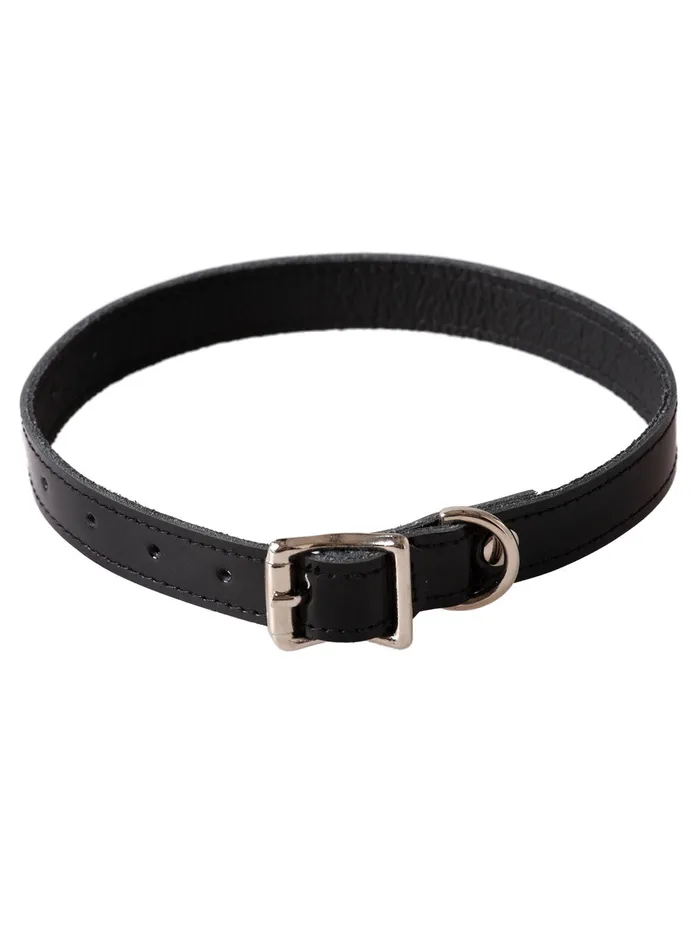 HonourSkintwocom Restraints Patent Leather Buckle Collar in Black HonourSkintwocom Restraints Patent Leather Buckle Collar in Black