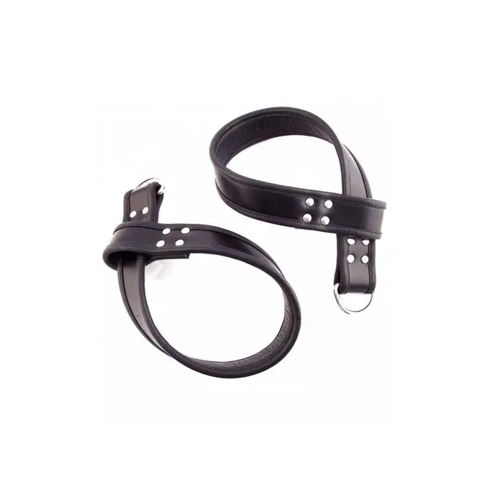 Leather Suspensions REGULATION Restraints