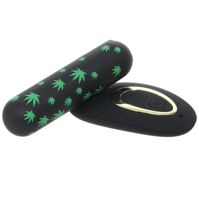 Maia Female Sex Toys Date Night 420 Remote Panty Vibe XL