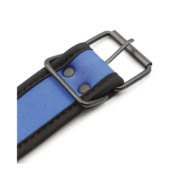 Plesur Neoprene Puppy Collar Plesur Vibrators Plesur Neoprene Puppy Collar Plesur Vibrators