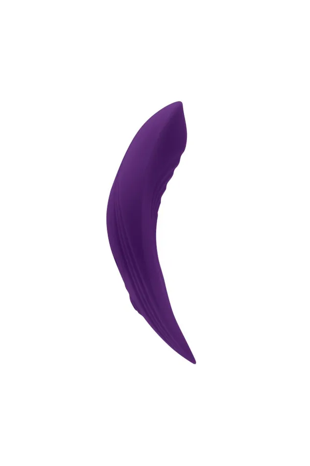 Evolved Playboy Our Little Secret Panty Vibrator Purple Vibrators