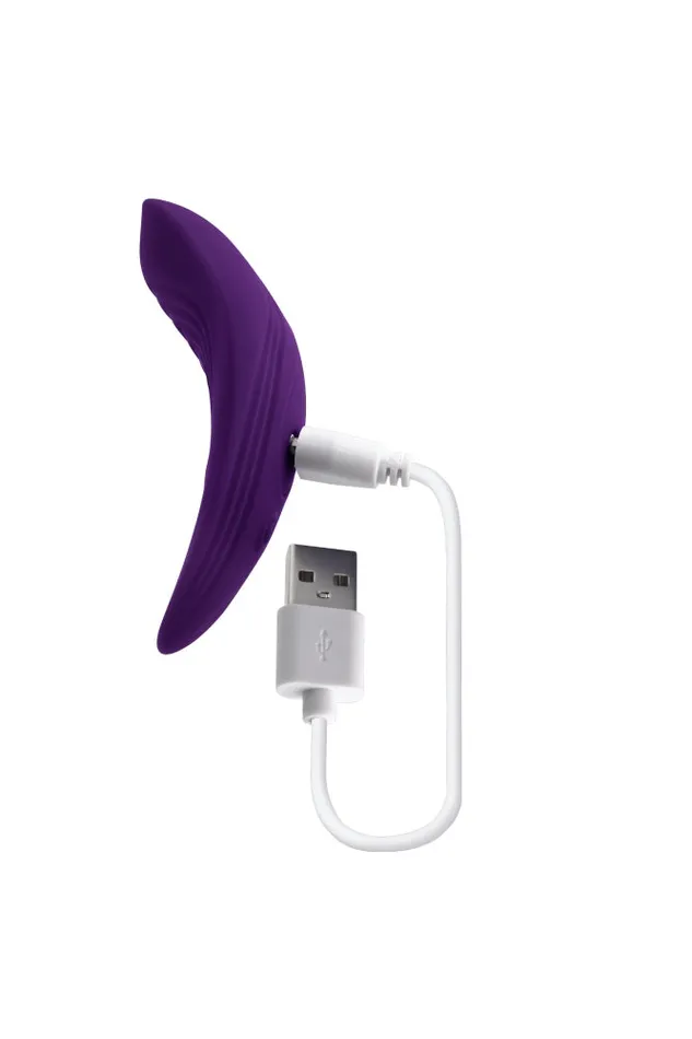Evolved Playboy Our Little Secret Panty Vibrator Purple Vibrators