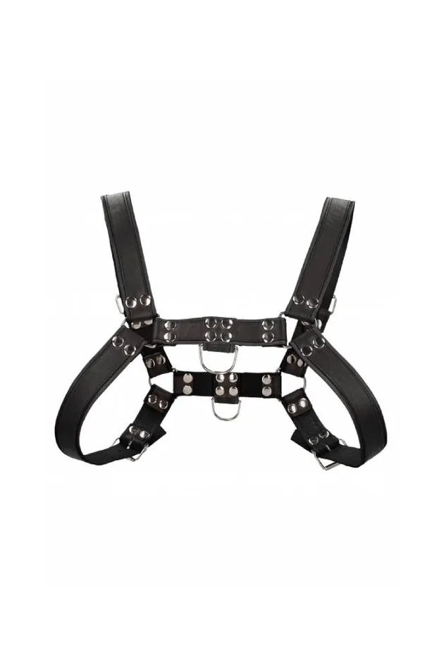 Ouch by Shots Toys Premium Leather Bulldog Chest Harness Black Shots Toys Vibrators Ouch by Shots Toys Premium Leather Bulldog Chest Harness Black Shots Toys Vibrators