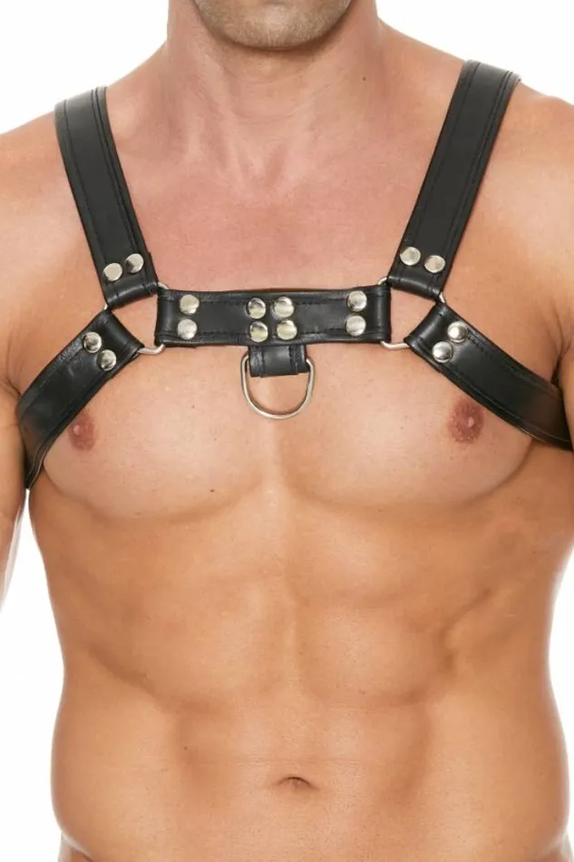 Ouch by Shots Toys Premium Leather Bulldog Chest Harness Black Shots Toys Vibrators