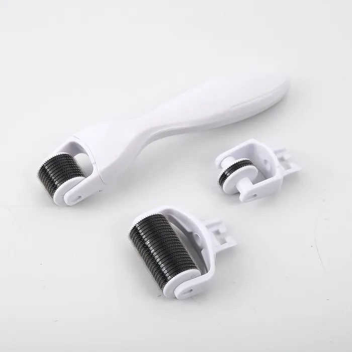 missammy Anal 3 in 1 Microneedle Derma Roller Meso Roller for Acne Scar Freckle Set210