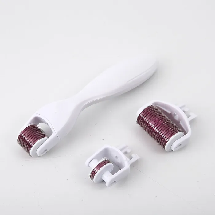missammy Anal 3 in 1 Microneedle Derma Roller Meso Roller for Acne Scar Freckle Set210