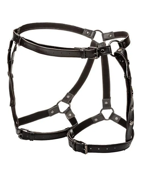 Female Sex Toys California Exotic Novelties Euphoria Collection Riding Thigh Harness