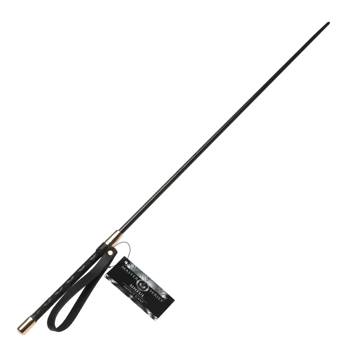 Master Series Vibrators Sinful Impact Cane