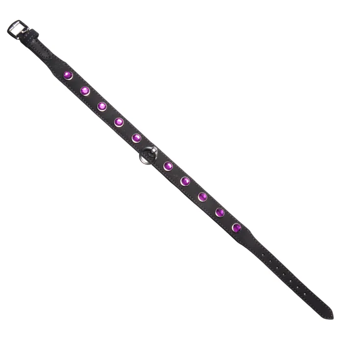 Restraints Strict Leather Leather Rhinestone Collar Amethyst