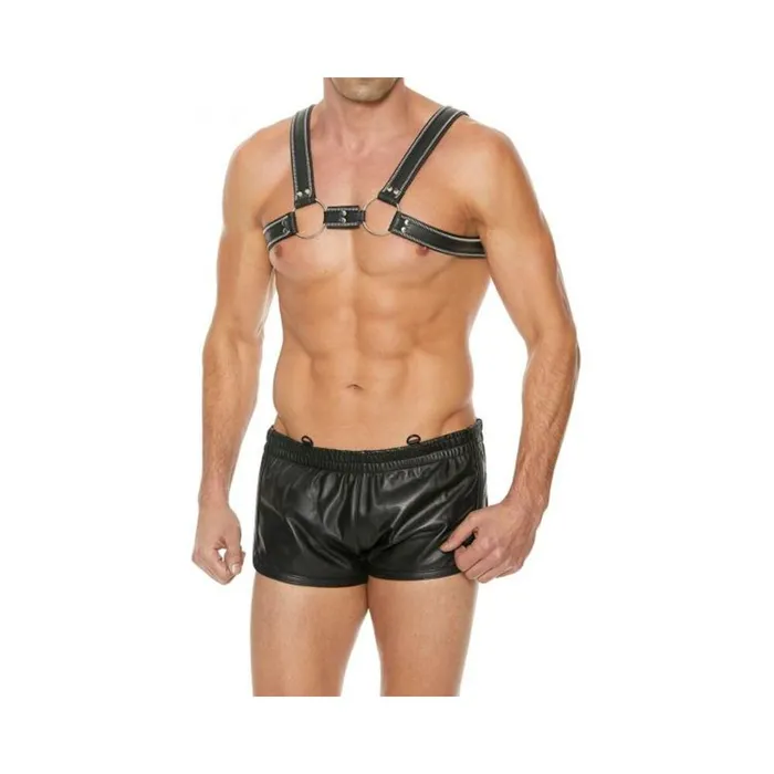 Shots America LLC Male Sex Toys Premium Leather Oring Zipper Series Bulldog Harness Lxl Black Shots America LLC Male Sex Toys Premium Leather Oring Zipper Series Bulldog Harness Lxl Black