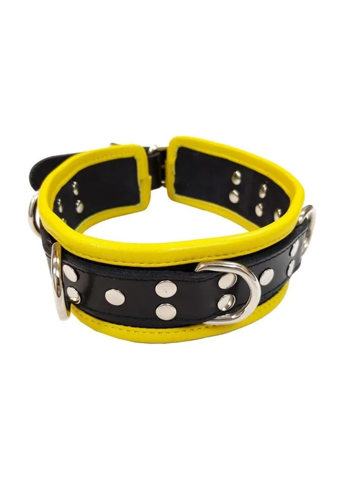 Male Sex Toys Rouge Rouge 5 D Ring Leather Collar