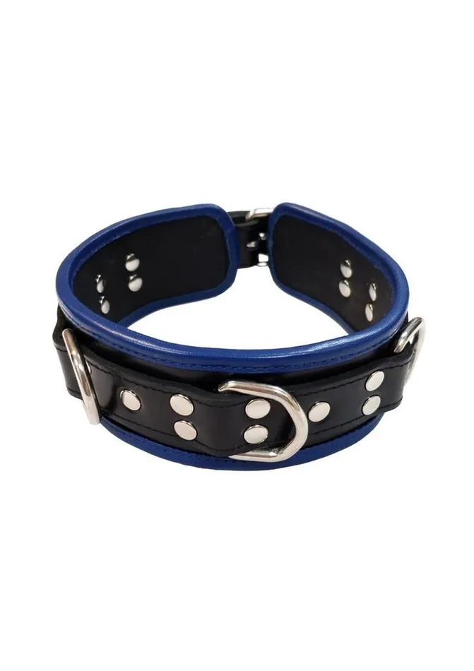 Male Sex Toys Rouge Rouge 5 D Ring Leather Collar