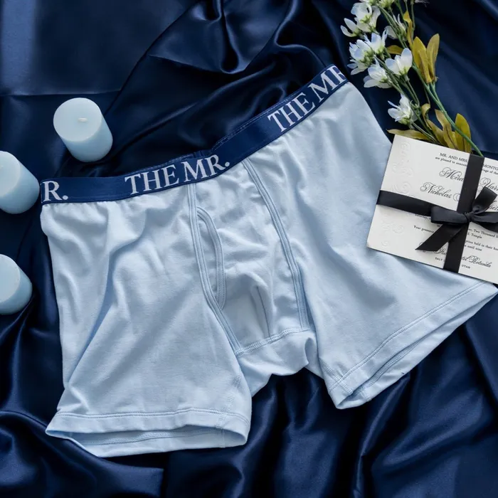 Mens Mr Boxer Briefs Mentionables Female Sex Toys
