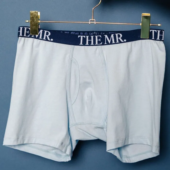 Mens Mr Boxer Briefs Mentionables Female Sex Toys Mens Mr Boxer Briefs Mentionables Female Sex Toys