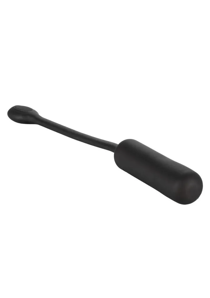 Remote Controlled Vibes Female Sex Toys Petite Bullet Vibrator with Wristband Remote Control Remote Controlled Vibes Female Sex Toys Petite Bullet Vibrator with Wristband Remote Control