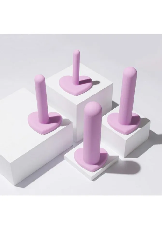 Anal Wellness Wellness Dilator Kit Silicone