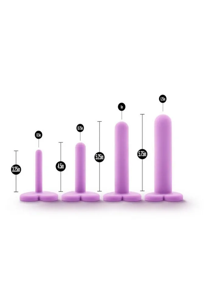 Anal Wellness Wellness Dilator Kit Silicone